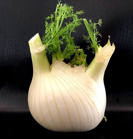 Finocchio fresco dalla forma rotondeggiante