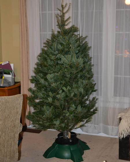 Abete di Natale dal supporto stabile