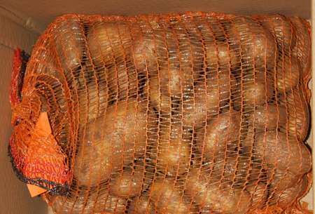 Patate vecchie integre in sacco di plastica