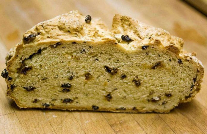 Panina pasquale casentinese appena fatta con l'aggiunta di uvetta e zafferano Panina di Pasqua del Casentino arricchita con uvetta e zafferano