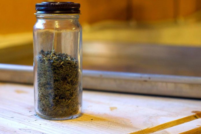 Cime del basilico essiccate conservate in barattolo di vetro chiuso ermeticamente