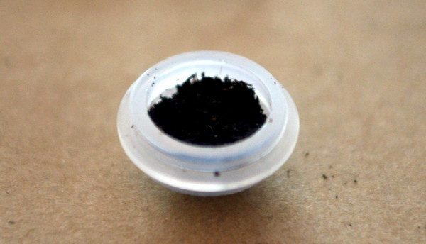 Semi di basilico dentro a scatolina di plasica