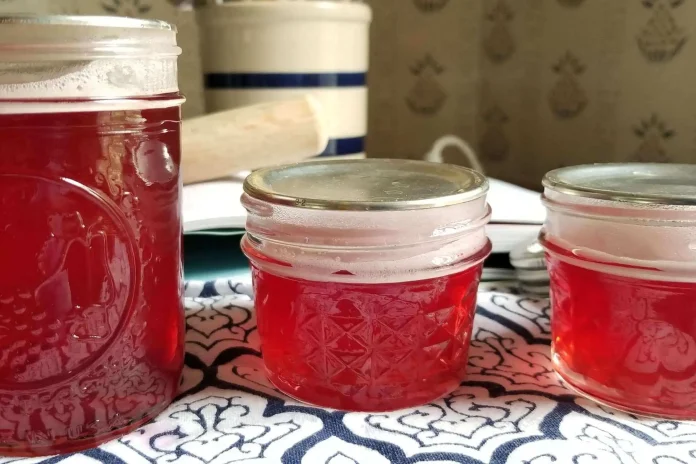 Sciroppo di rosa canina fatto in casa invasato in barattoli di vetro chiusi ermeticamente